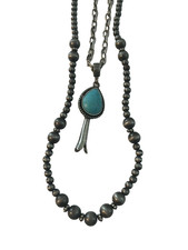 Southwestern Turquoise Squash