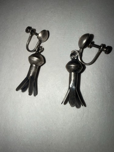 Navajo sterling squash - navajo,